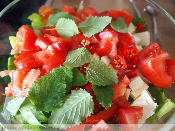 Türkischer Salat mit Granatapfelsoße